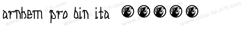 arnhem pro bin ita字体转换